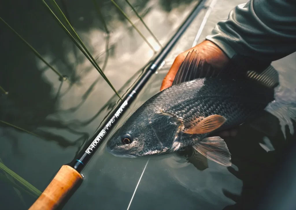 Fly Fishing: Gear That Elevates Your Adventure