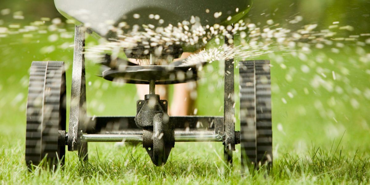 Best Lawn Mowing Services in Melbourne