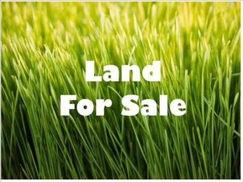 farm land for sale